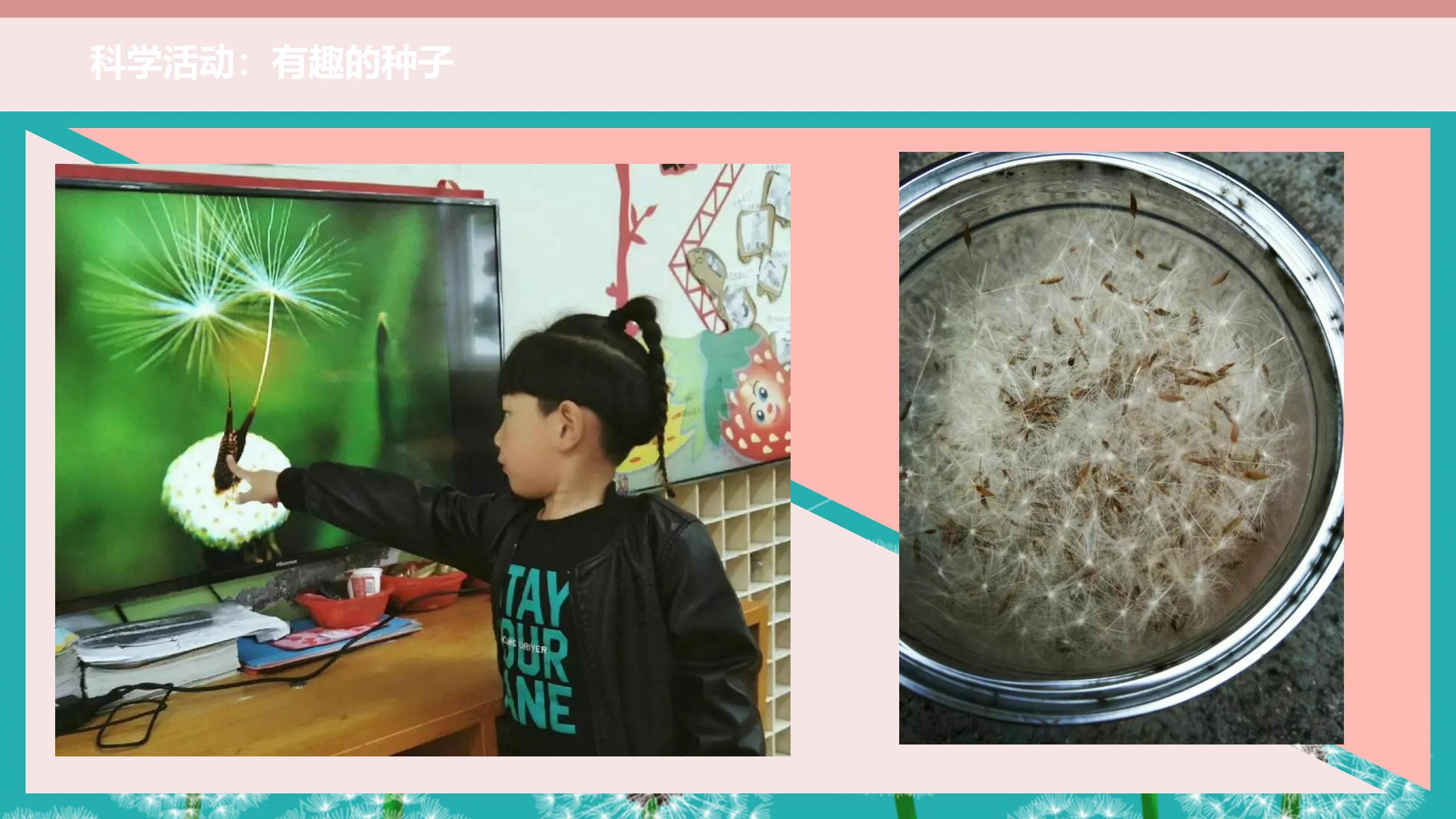 中班班本课程《蒲公英的约定》17页_幼儿园班本课程_10.png