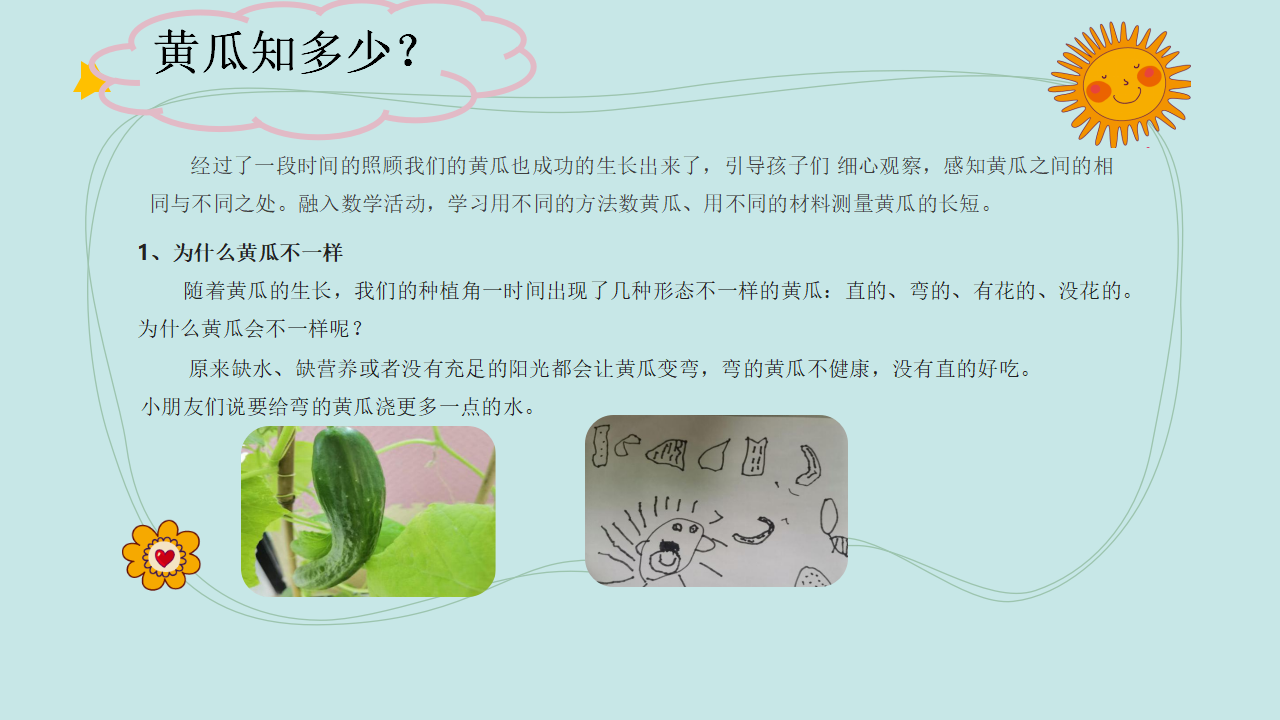 中班课程故事《遇见黄瓜》_幼儿园班本课程_16.png