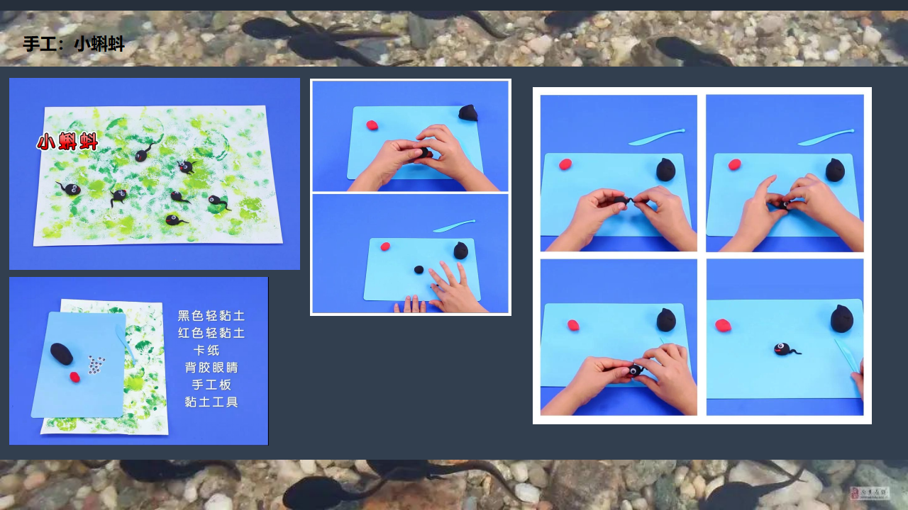 中班班本课程《邂逅小蝌蚪》35页_幼儿园班本课程_30.png