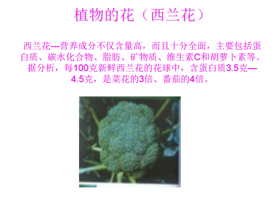 小班音乐《可爱的蔬菜宝宝》参考_07.png