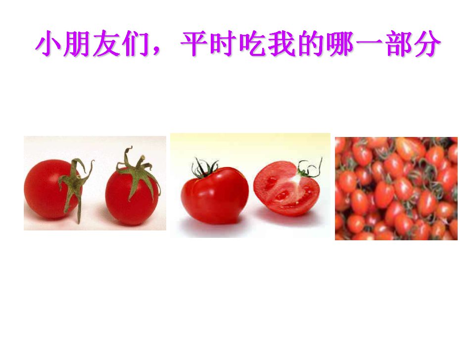 小班音乐《可爱的蔬菜宝宝》参考_09.png