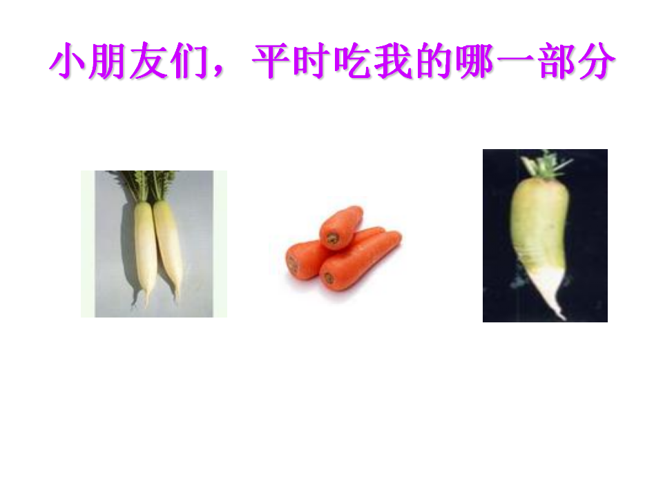 小班音乐《可爱的蔬菜宝宝》参考_11.png