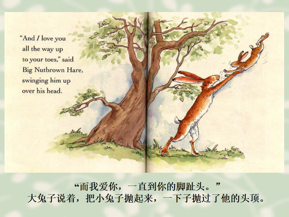 猜猜我有多爱你绘本_09.png