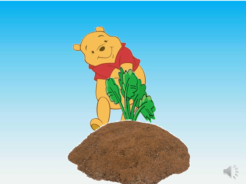 小班语言《熊宝宝的小芽芽》课件_10.png