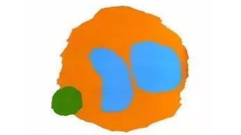 小班语言《小蓝和小黄》课件_25.png