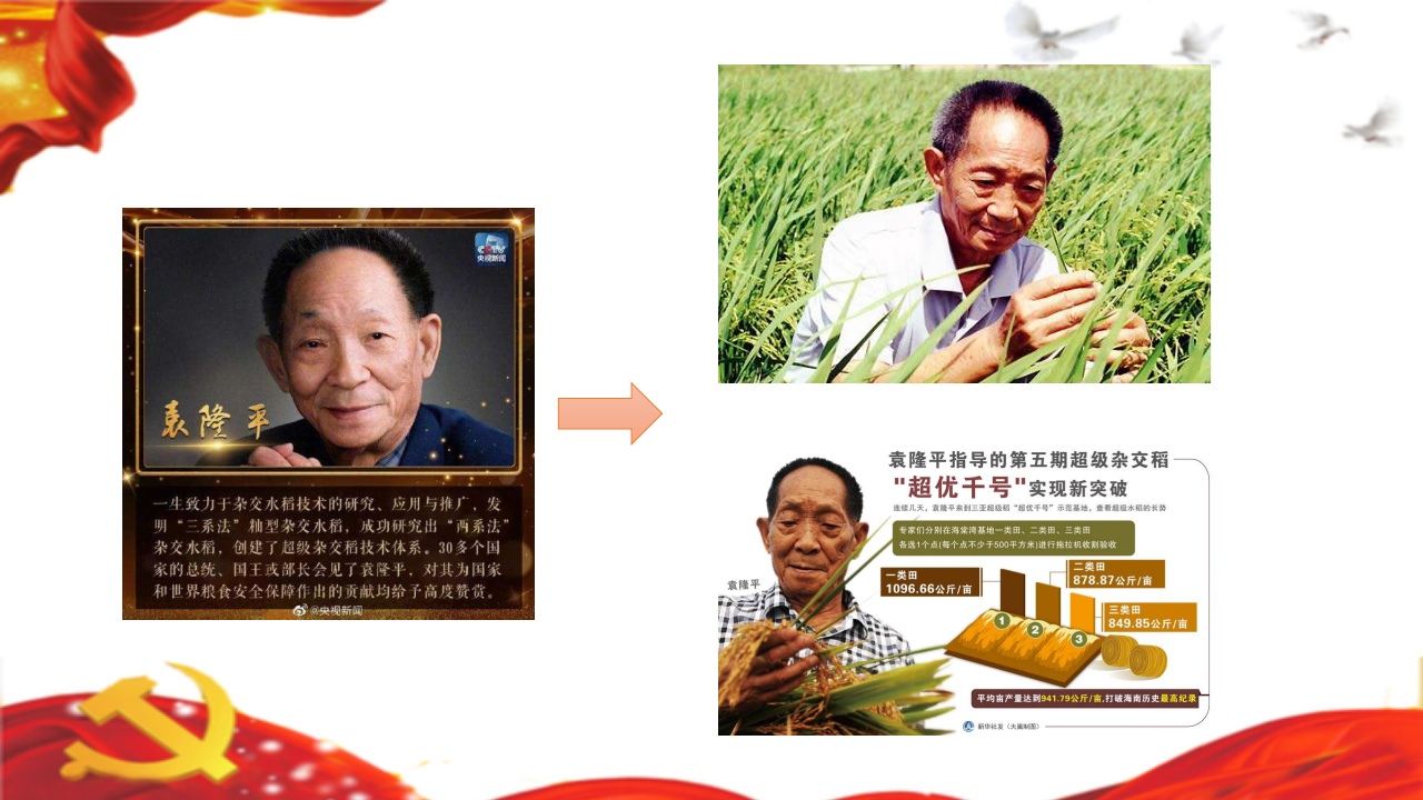 大班社会《勋章百科》微课件_12.png