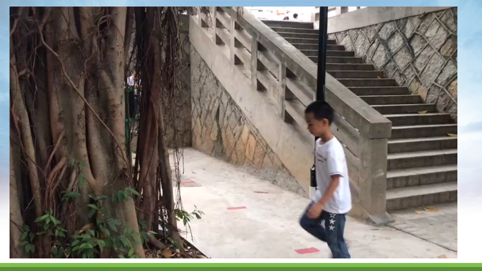中班科学《养护榕树》微课件_07.png