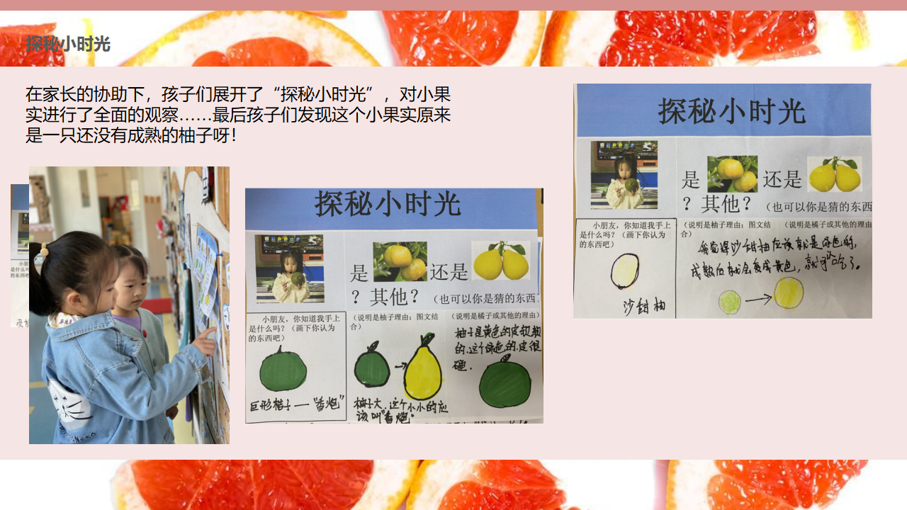 [45]幼儿园大班班本课程《柚子之韵》42页_12.png