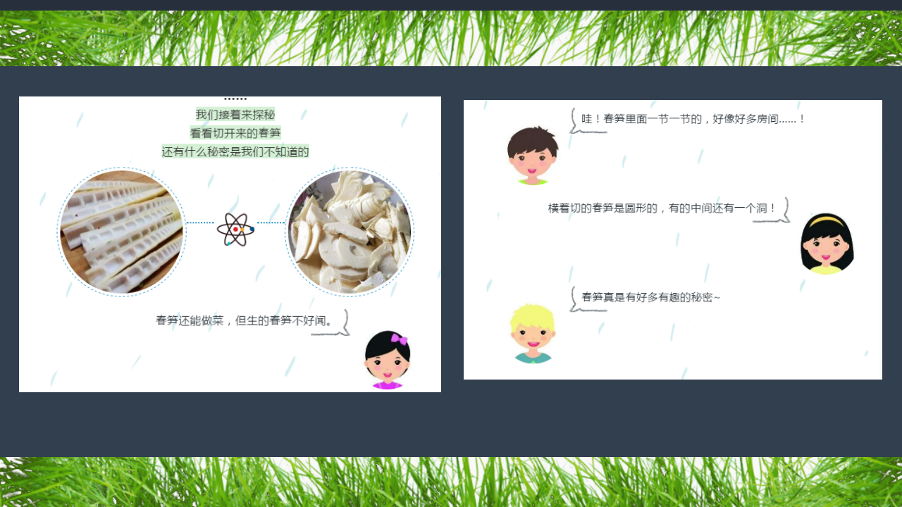 [27]幼儿园小班班本课程《小草醒来了》28页_20.png