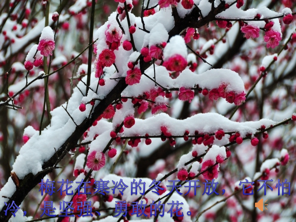 谈话导入_01.png