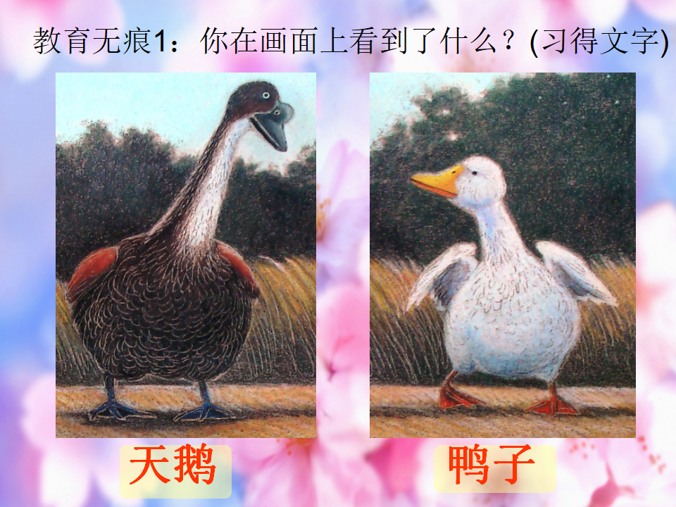《超级歌会》观摩应彩云老师示范课后有感_05.png