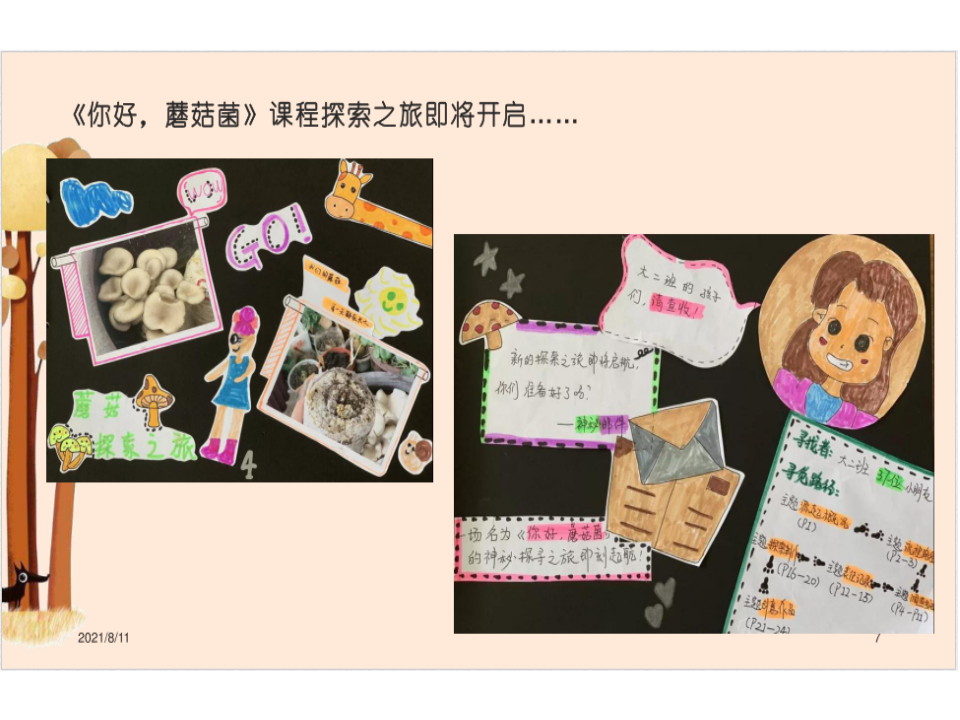 【90】幼儿园大班班本课程《你好，蘑菇菌》16页_07.png