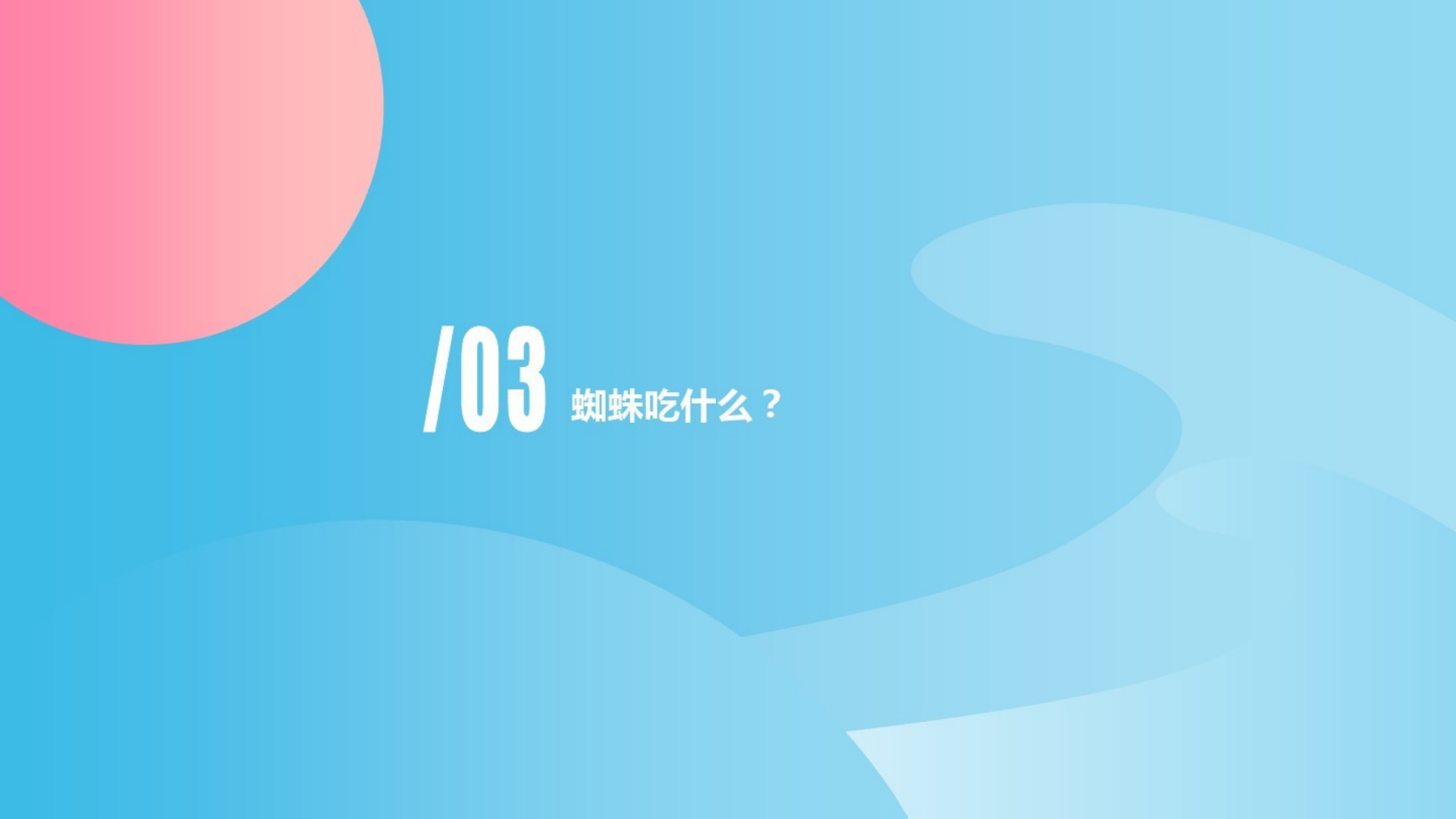 [70]幼儿园中班班本课程《小蜘蛛》19页_13.png