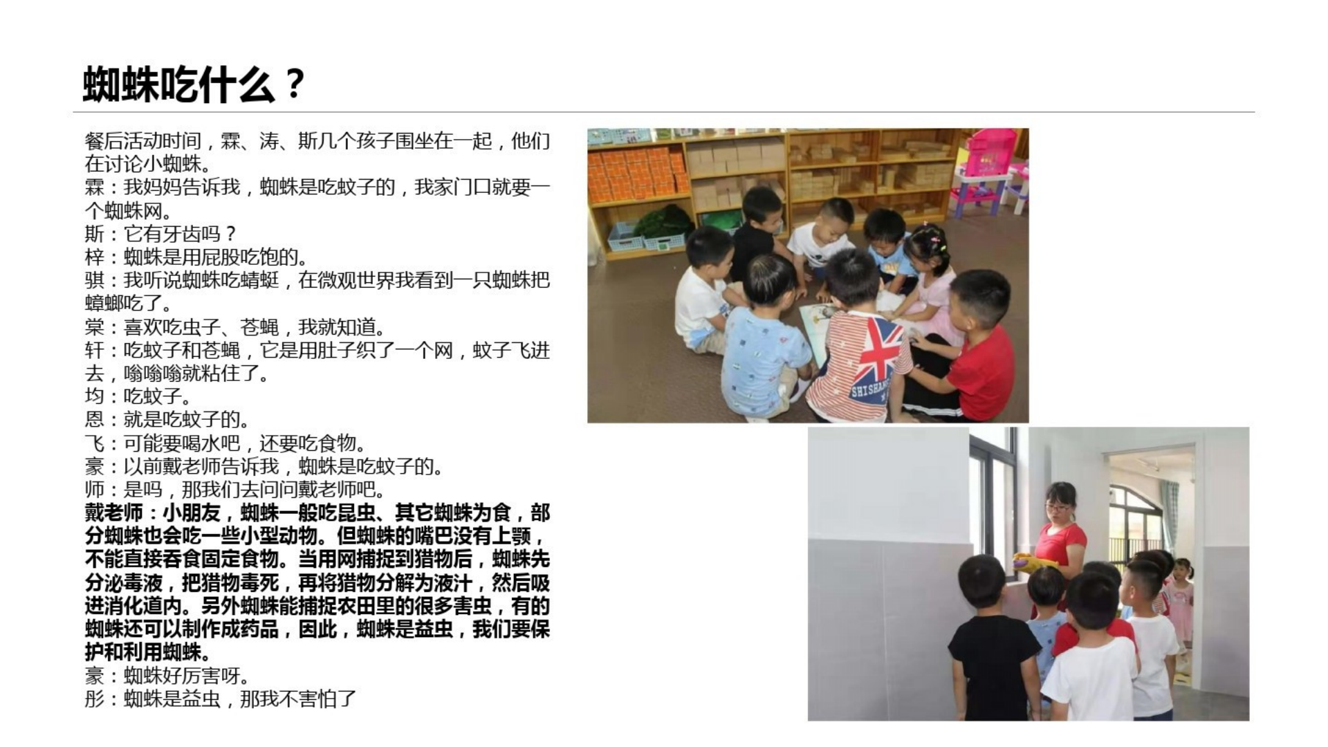 [70]幼儿园中班班本课程《小蜘蛛》19页_14.png