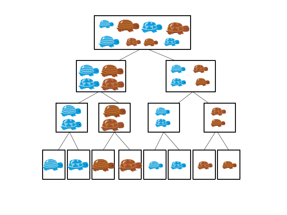 大班科学《层级分类》微课件_08.png