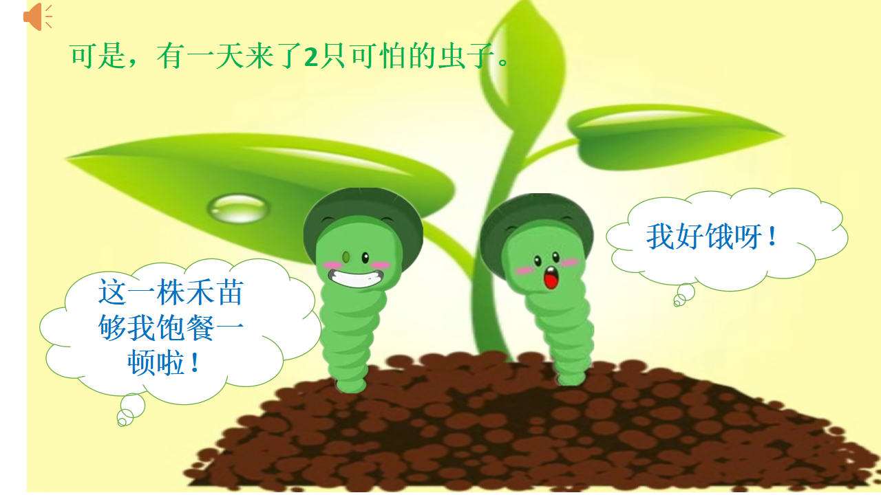大班科学《禾苗的秘密》微课件_03.png