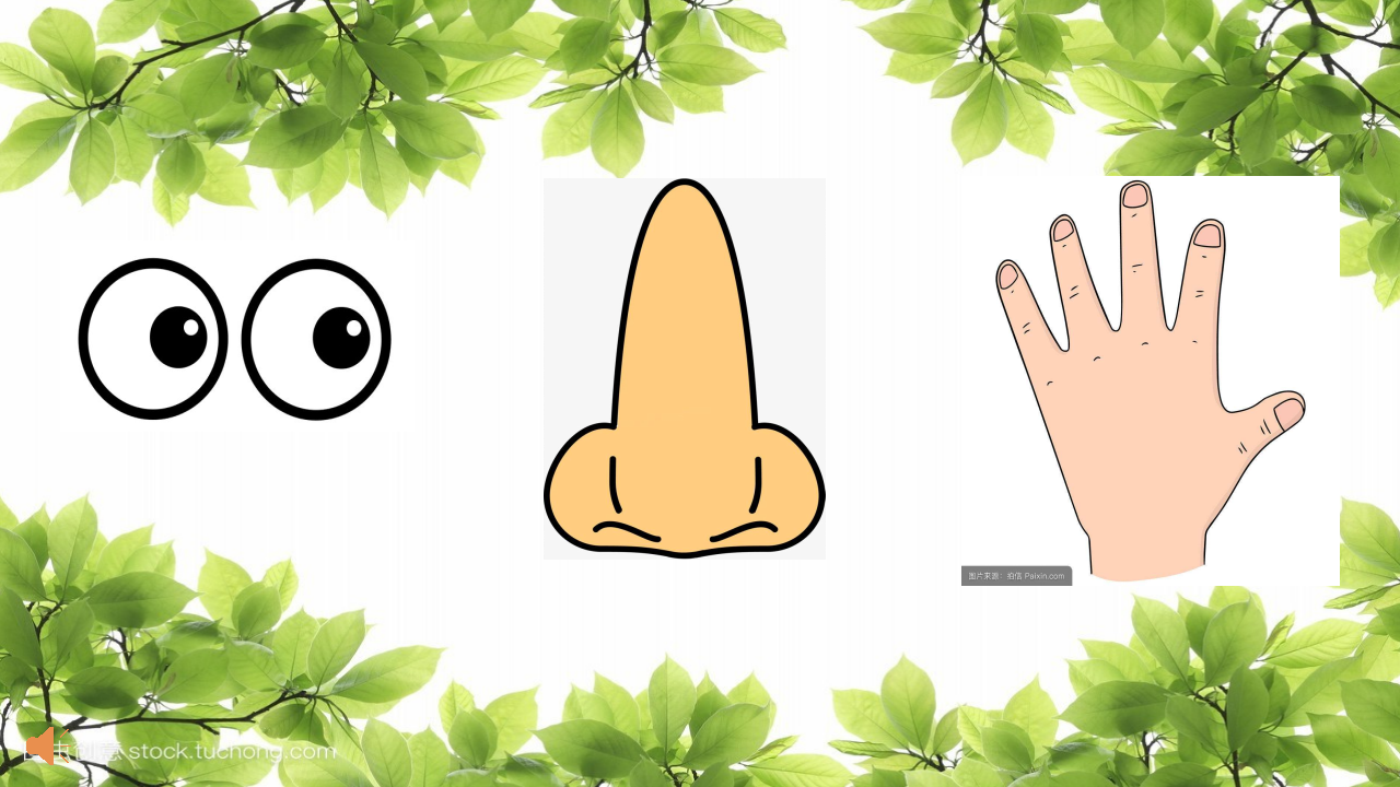 大班科学《好玩的空气》微课件_06.png