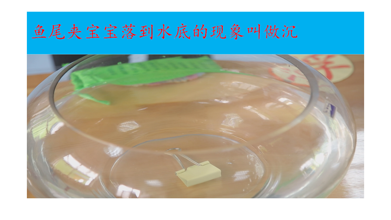 大班科学《浮和沉》微课件_04.png