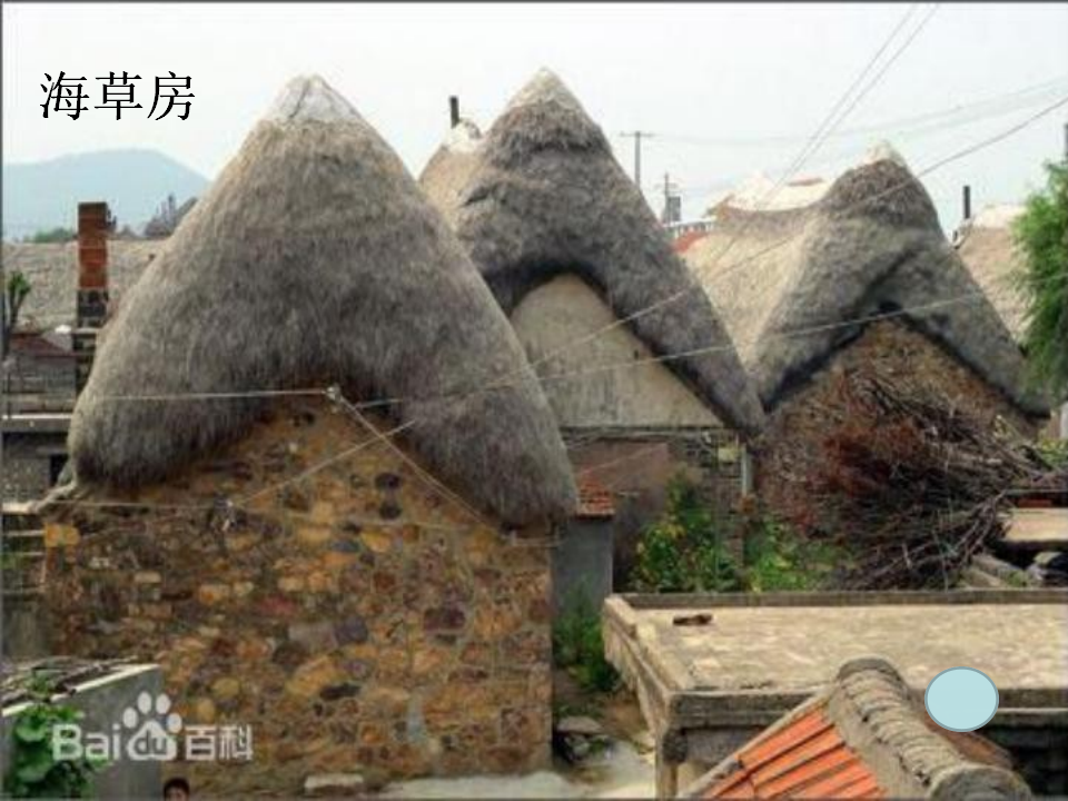 大班科学《房子大观》课件_09.png