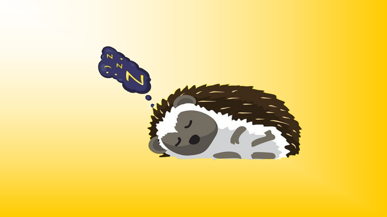 大班科学《动物过冬》微课件_03.png