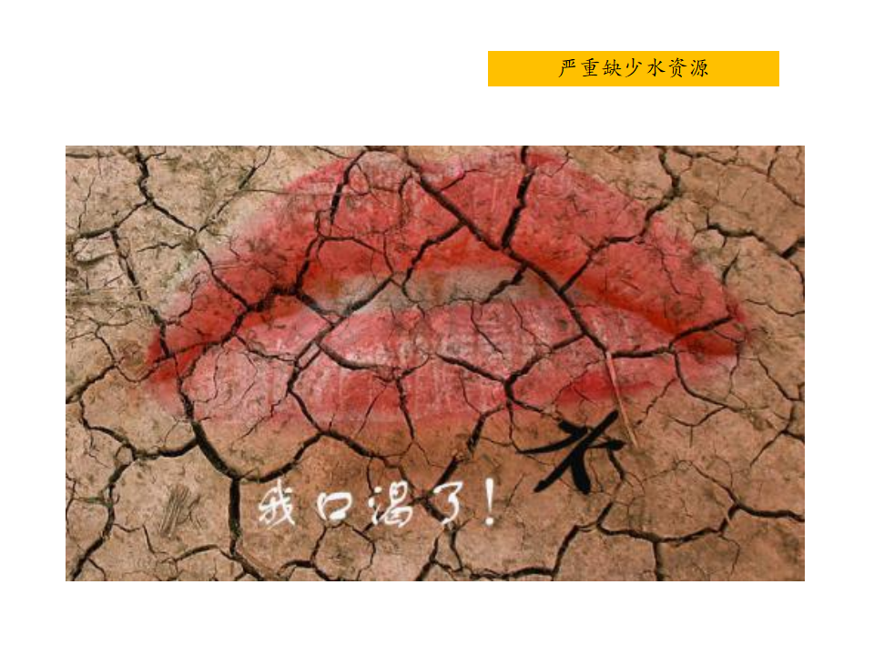 大班社会《保护地球妈妈》课件_07.png