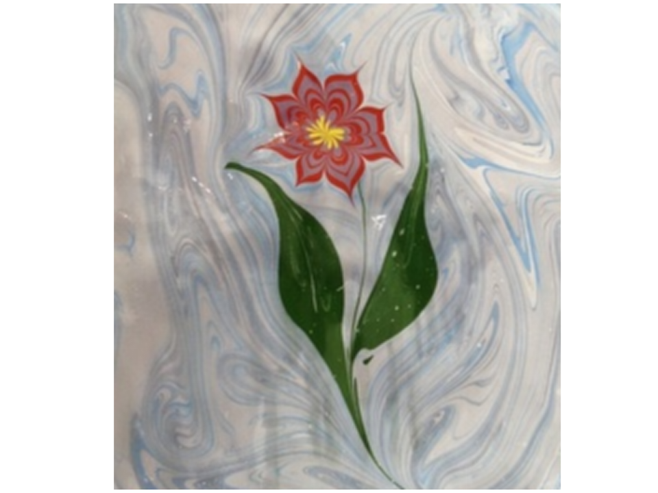 大班美术《映像水影花》作画过程_16.png