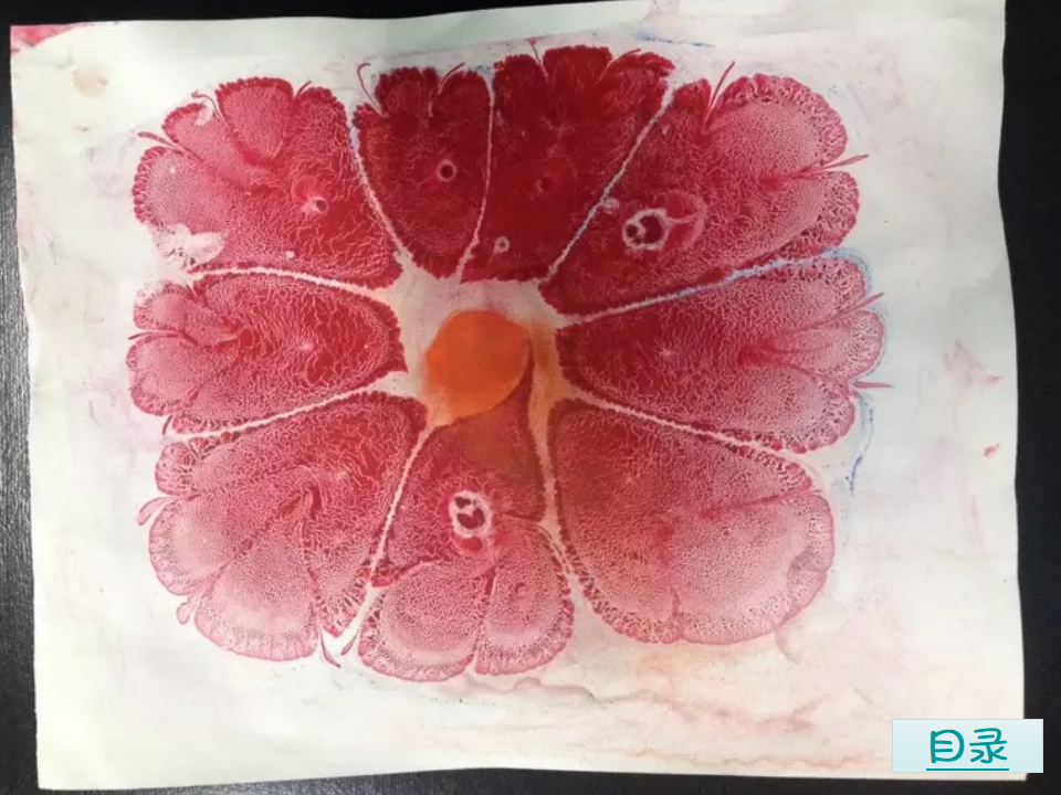 大班美术《映像水影花》微课件_12.png