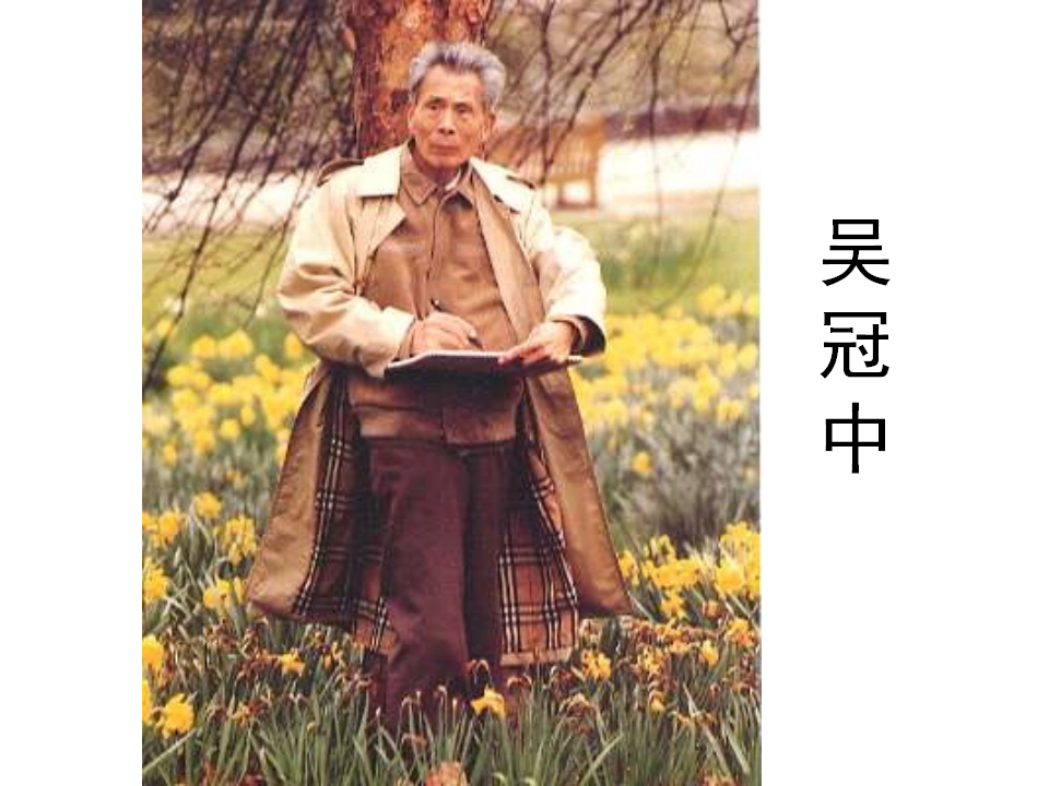 大班美术《树林》课件_02.png