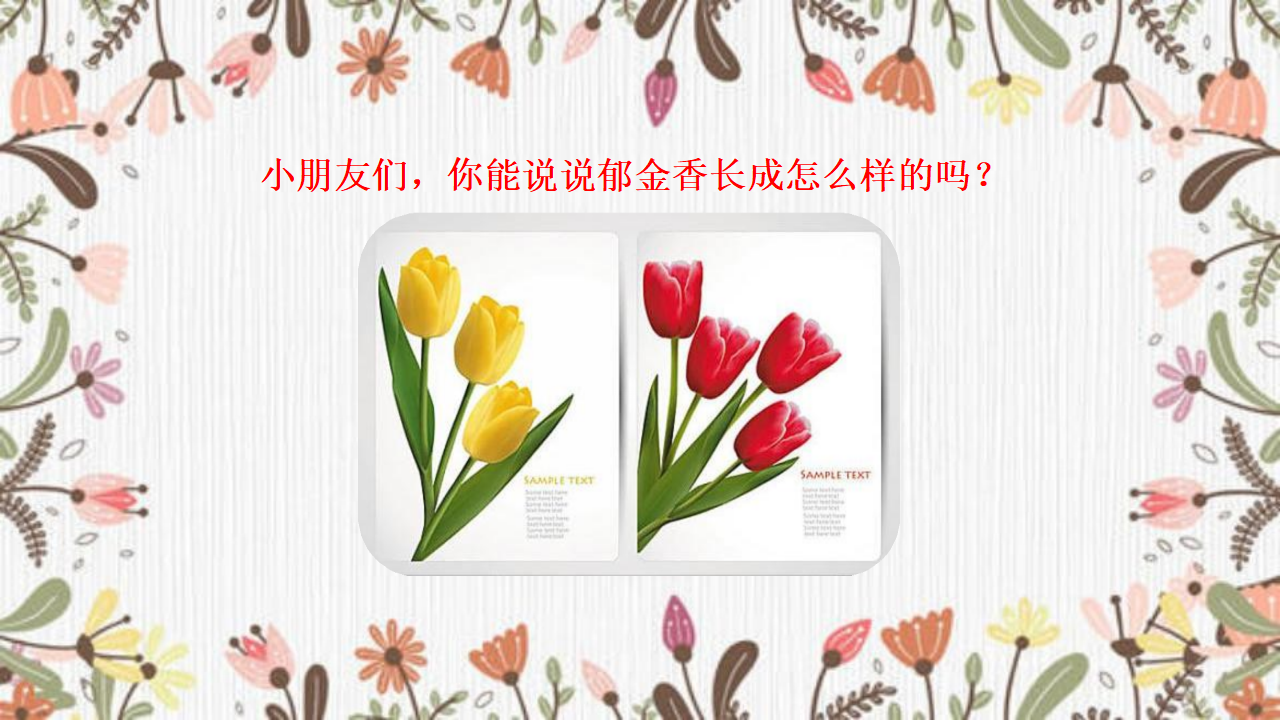 大班美术《盆栽郁金香》微课件_04.png