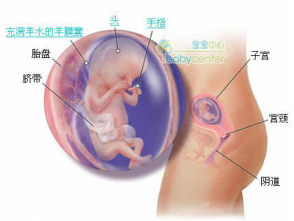 大班语言《爱的印记》_06.png