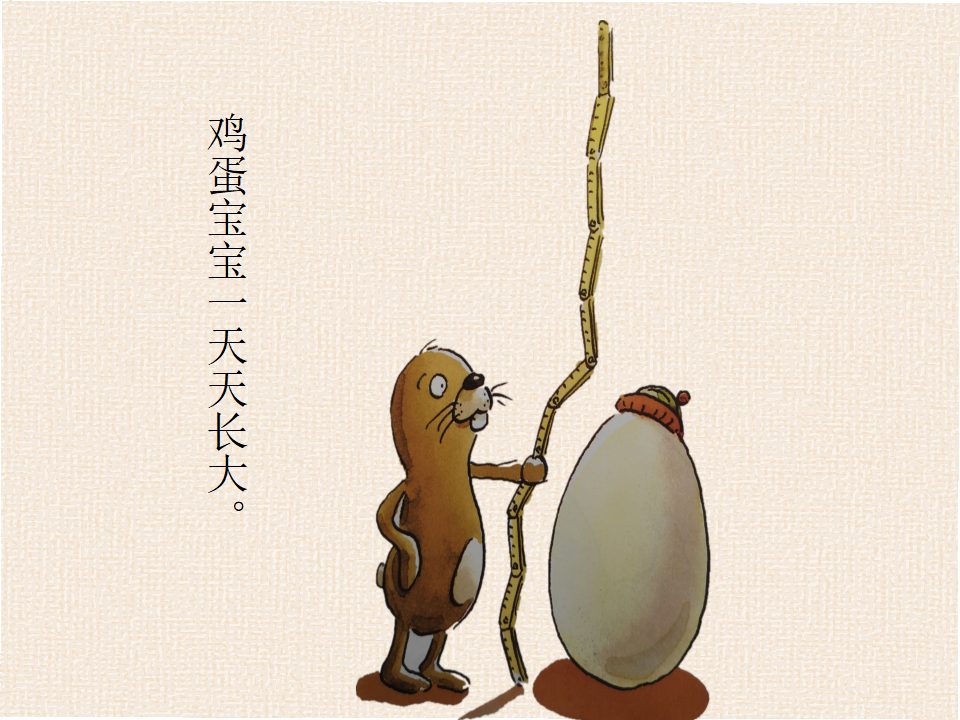 大班语言《没有耳朵的兔子》课件_30.png