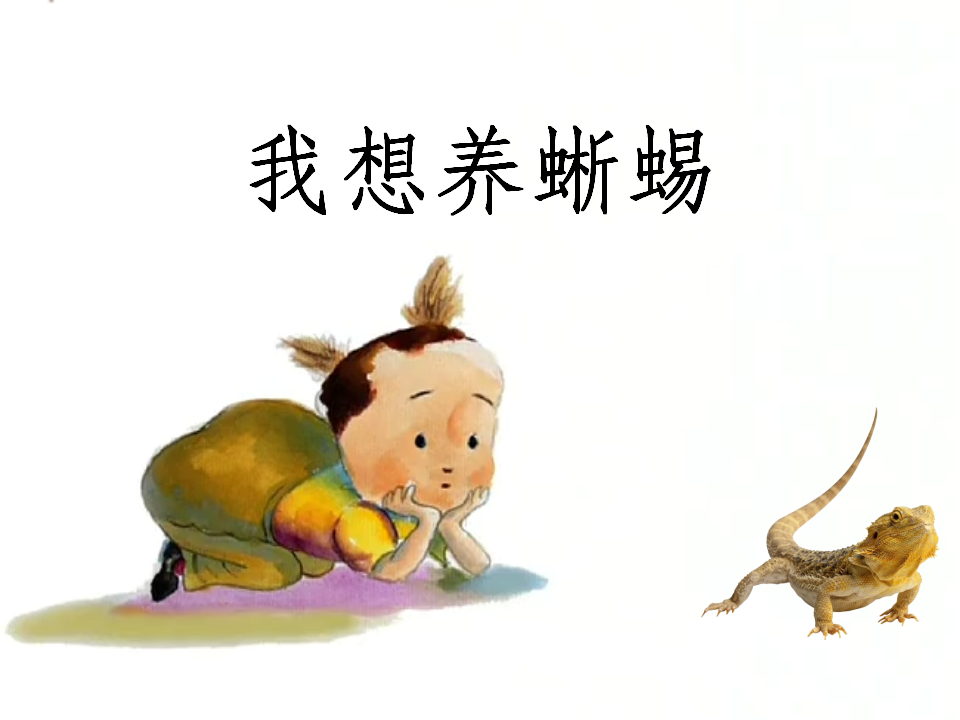 视频原版课件_01.png