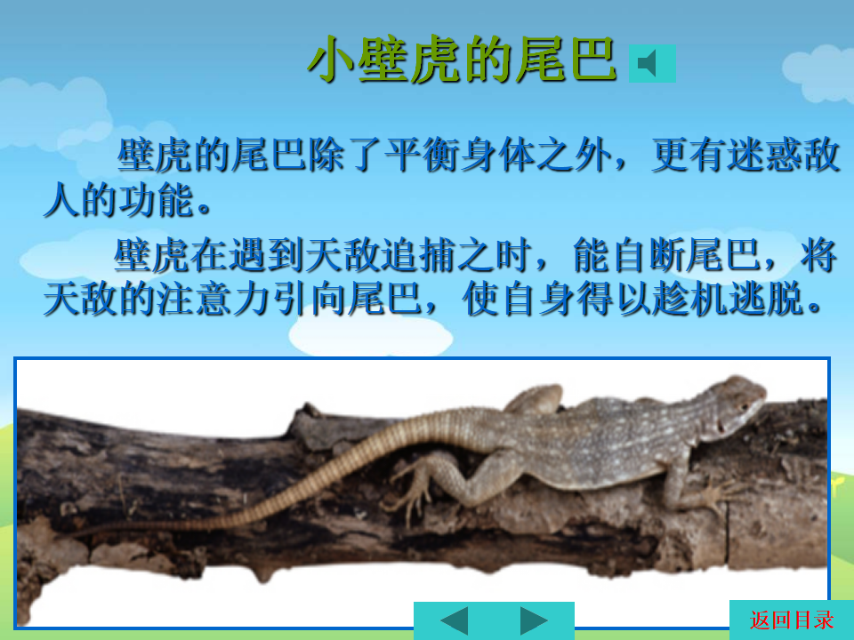 第二套PPT课件_17.png