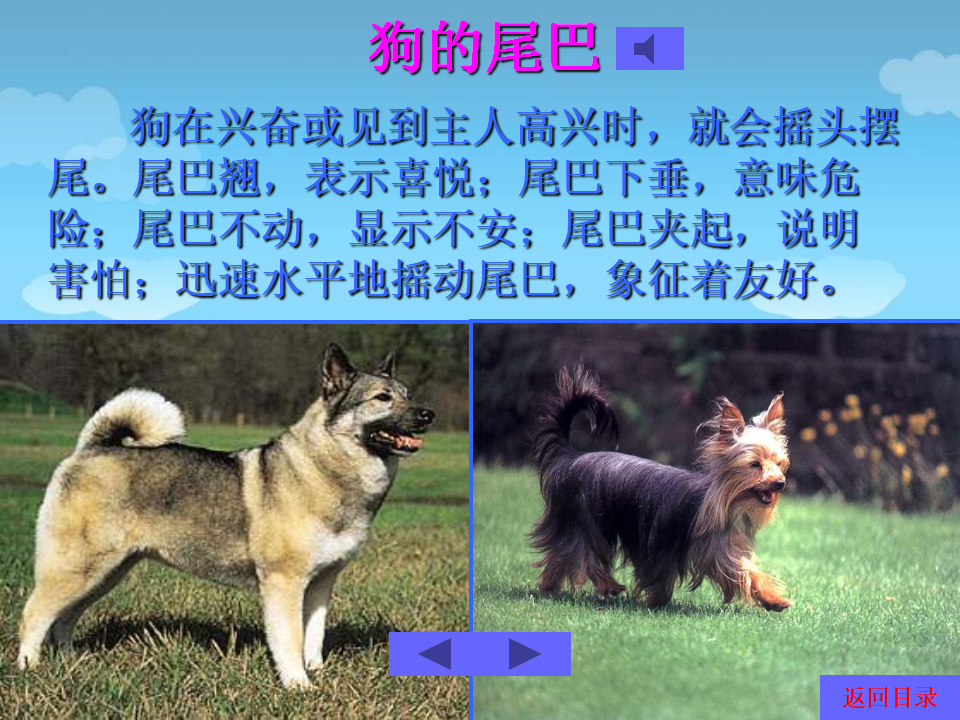 第二套PPT课件_24.png