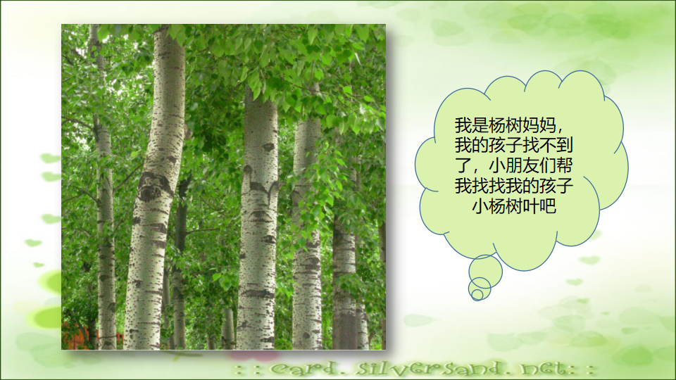 小班科学《多彩的树叶》微课件_12.png
