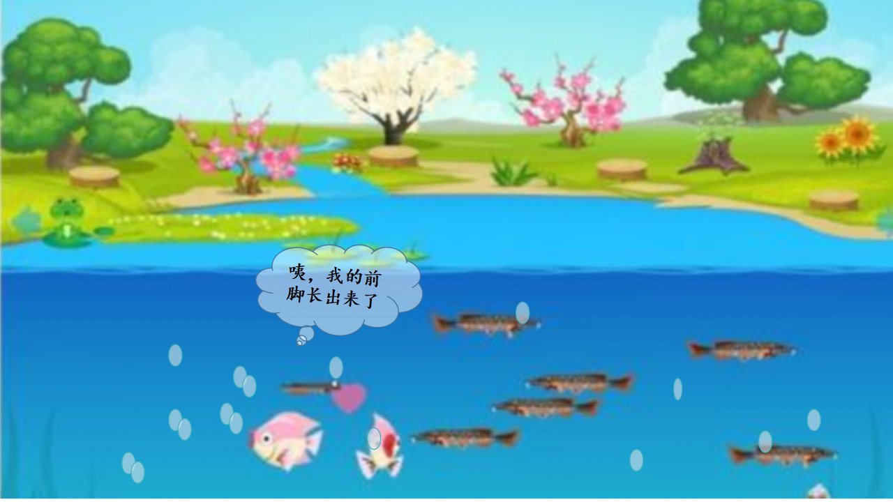 小班科学《豆豆成长记》课件_10.png