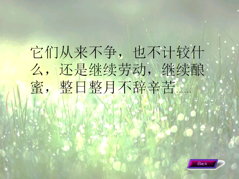 可爱的小蜜蜂4_17.png