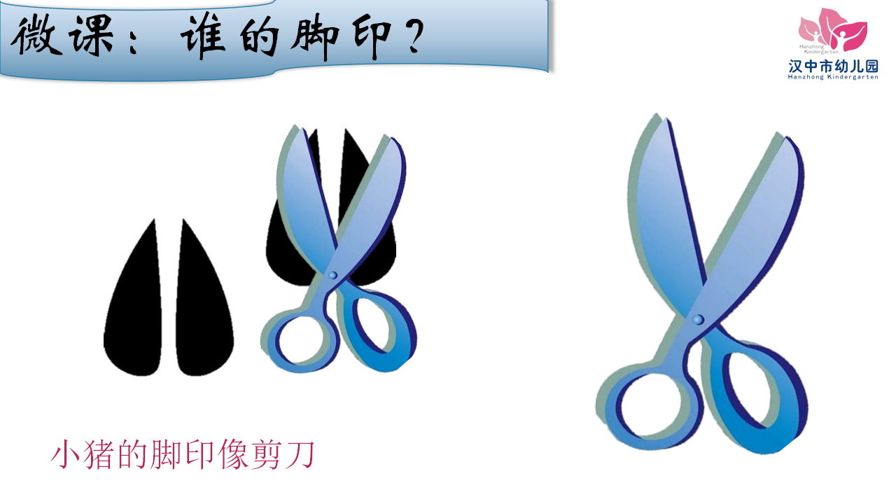 小班科学《谁的脚印》微课件_08.png