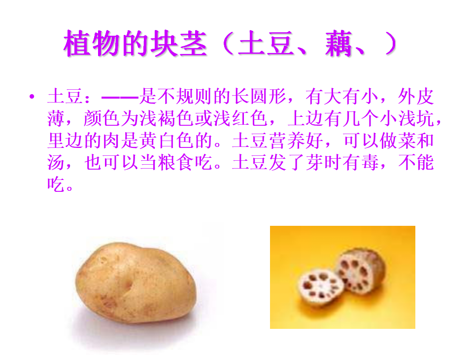 小班音乐《可爱的蔬菜宝宝》课件_06.png