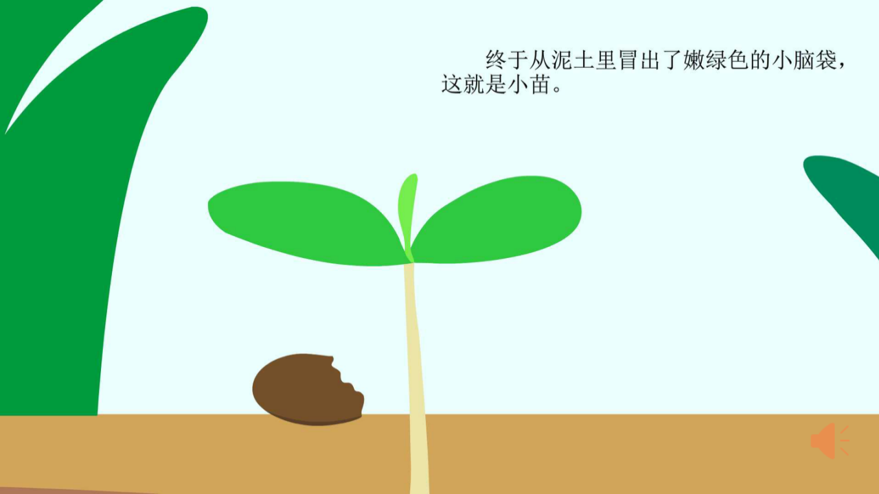 小班-种子嘟嘟的梦想-课件V1.0_28.png