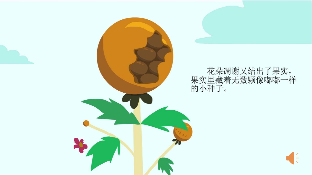 小班-种子嘟嘟的梦想-课件V1.0_30.png