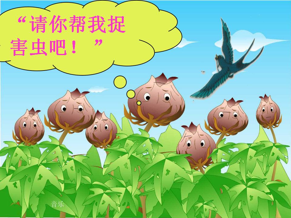 七星瓢虫1_03.png