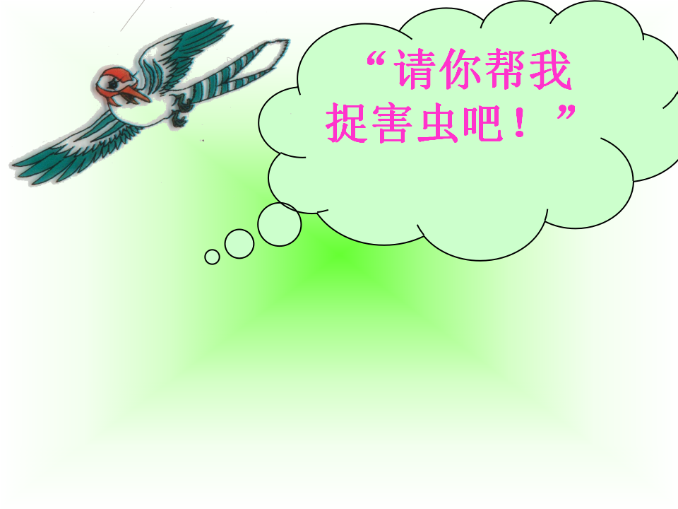 七星瓢虫1_04.png