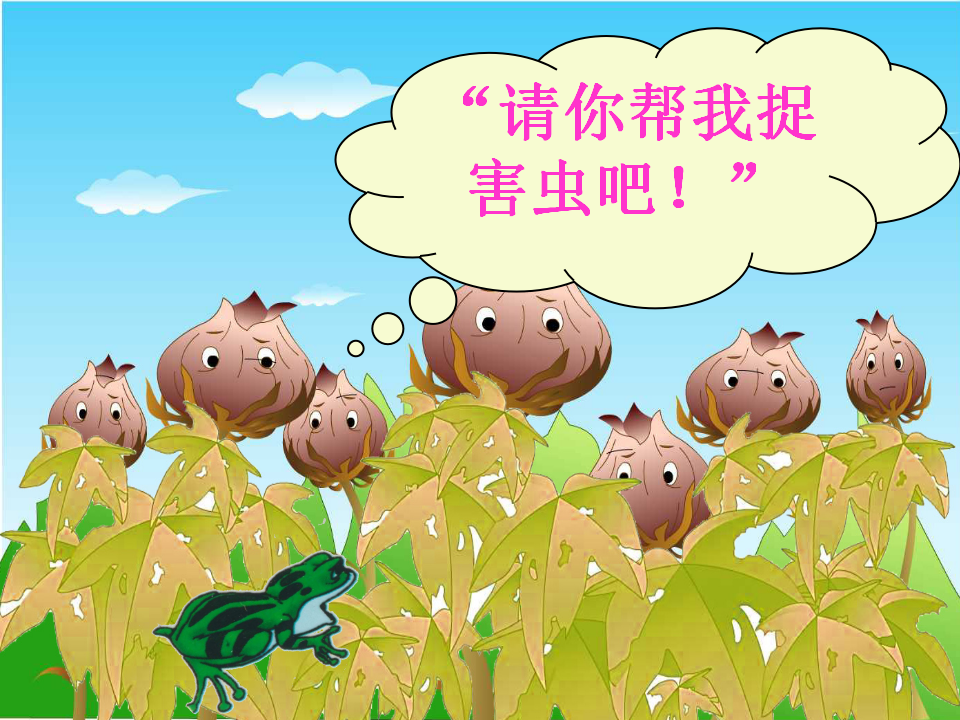 七星瓢虫1_05.png