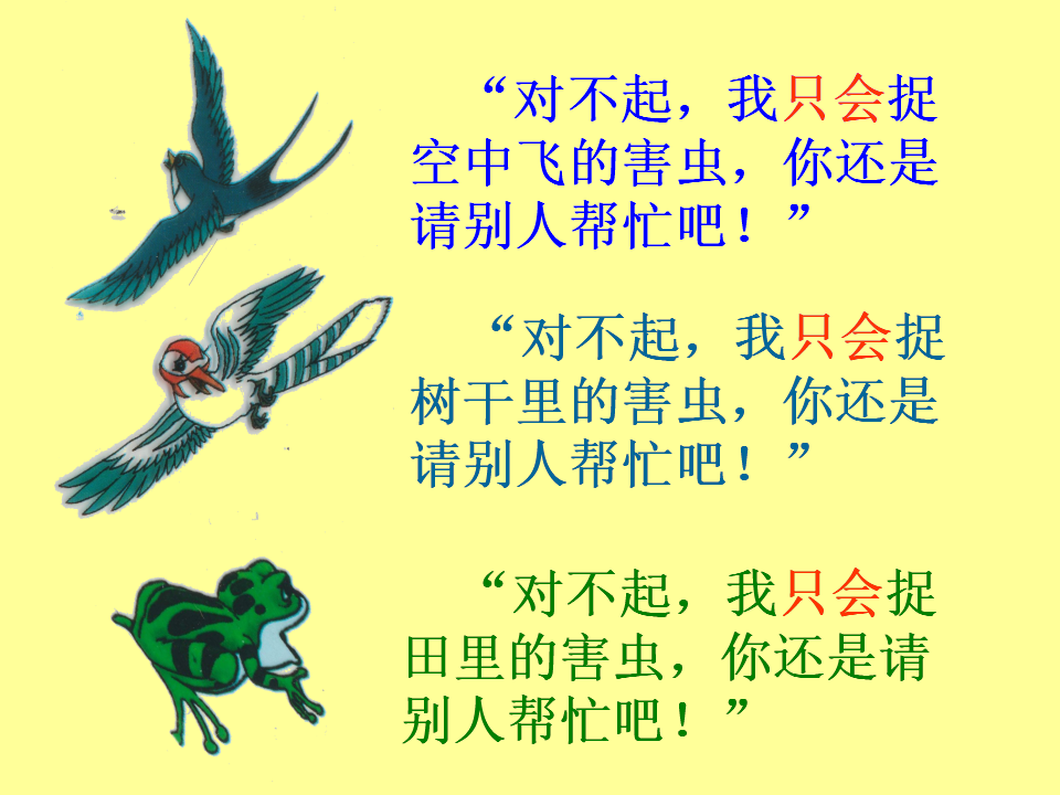 七星瓢虫1_06.png