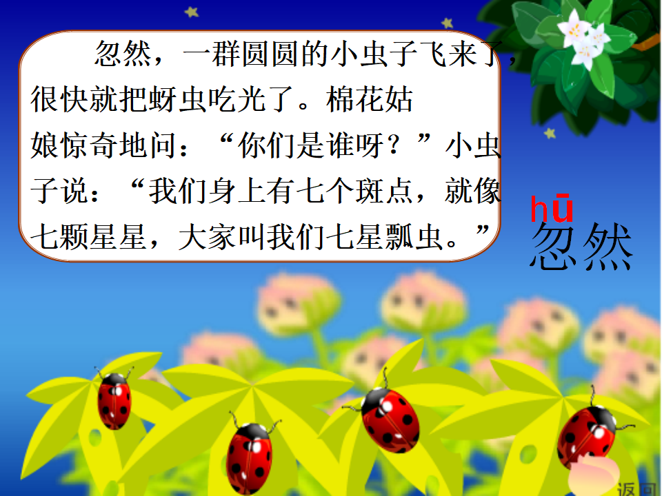 七星瓢虫1_07.png