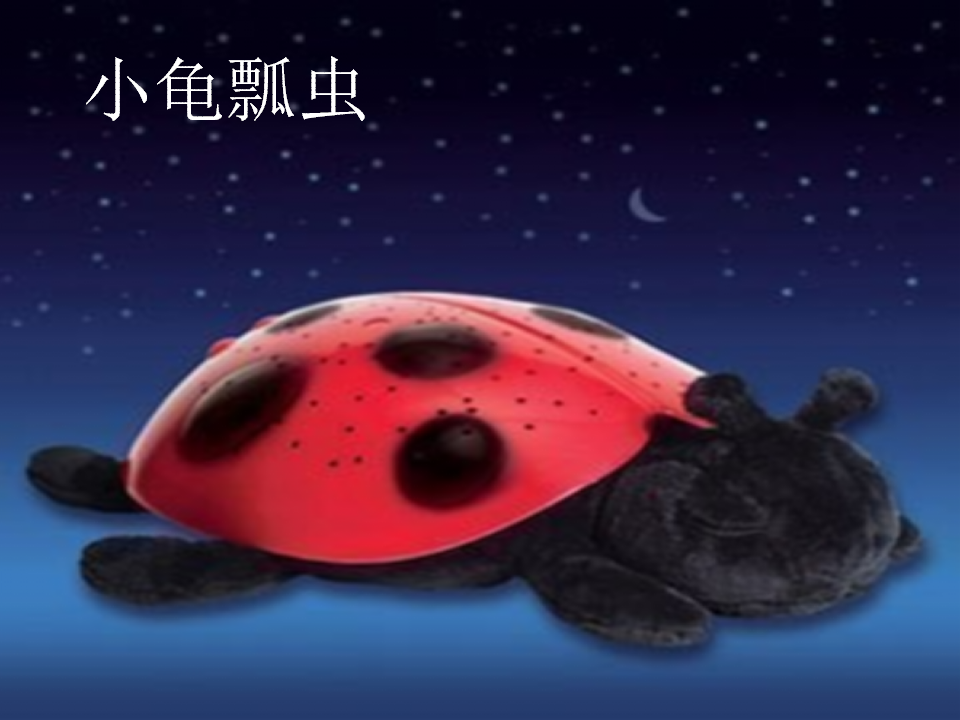 七星瓢虫1_14.png