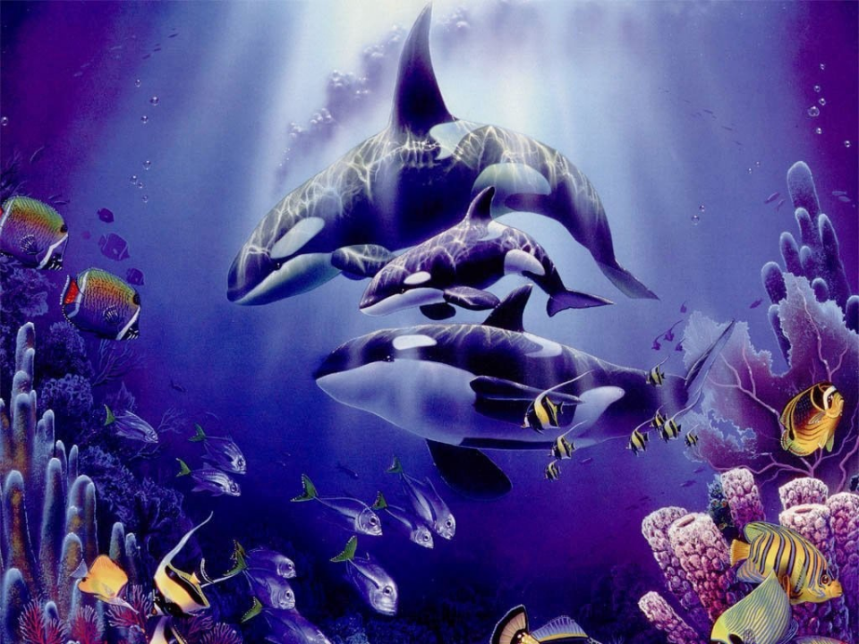 《海底世界》_14.png