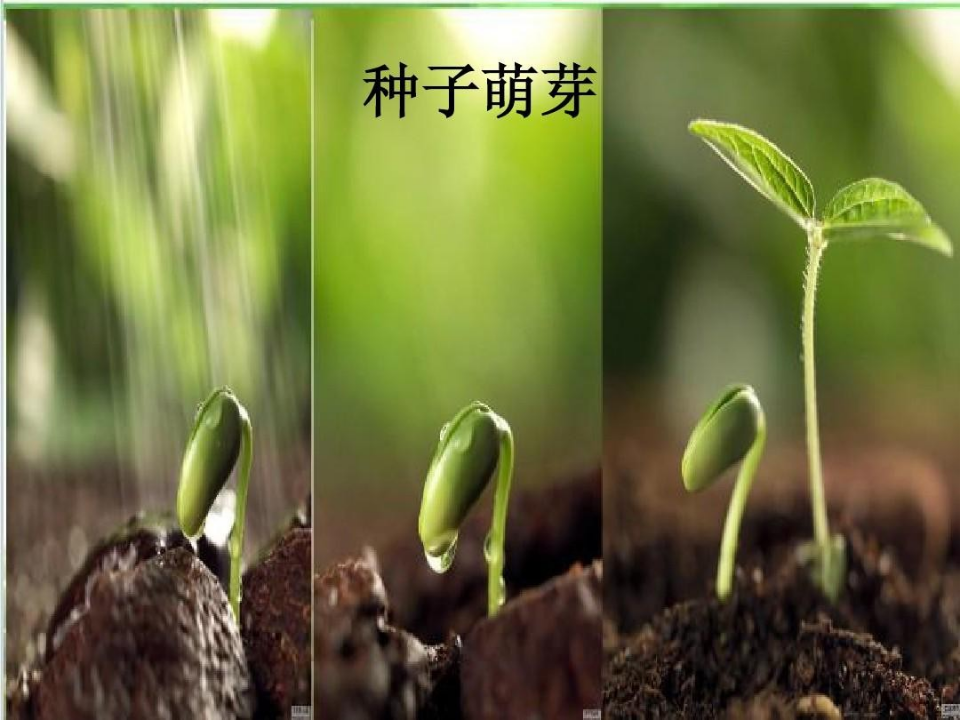 PPT课件_09.png