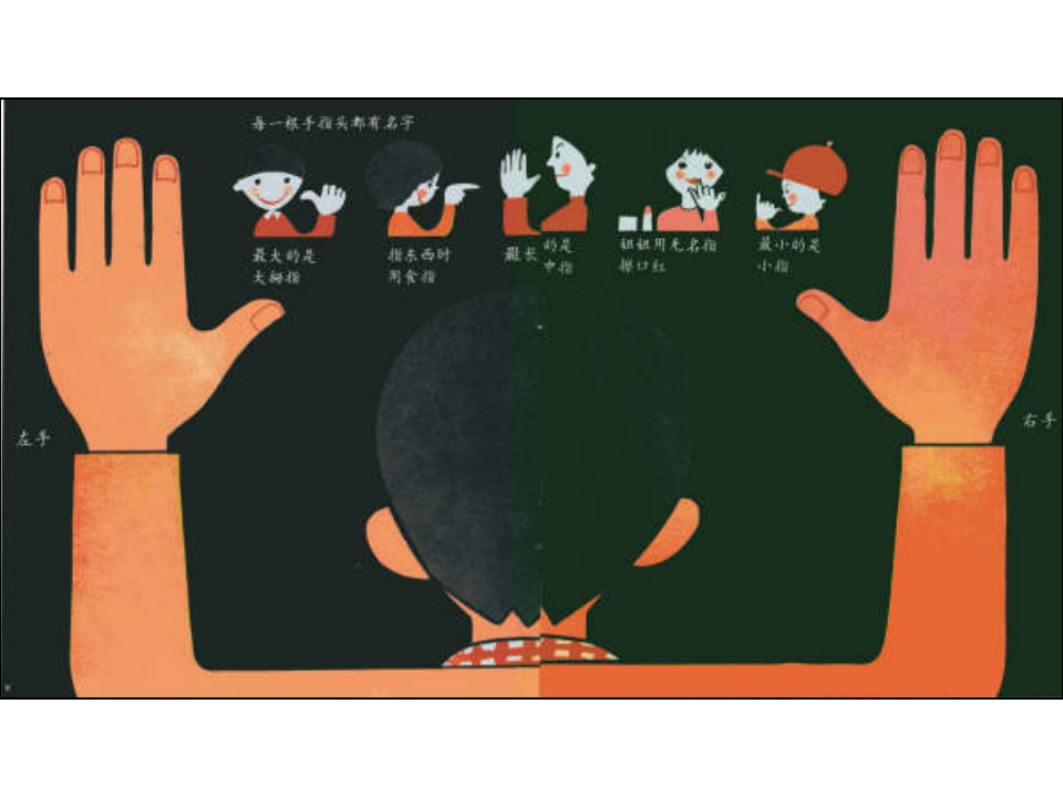 N12-中班语言《手和手指头》 课件_05.png